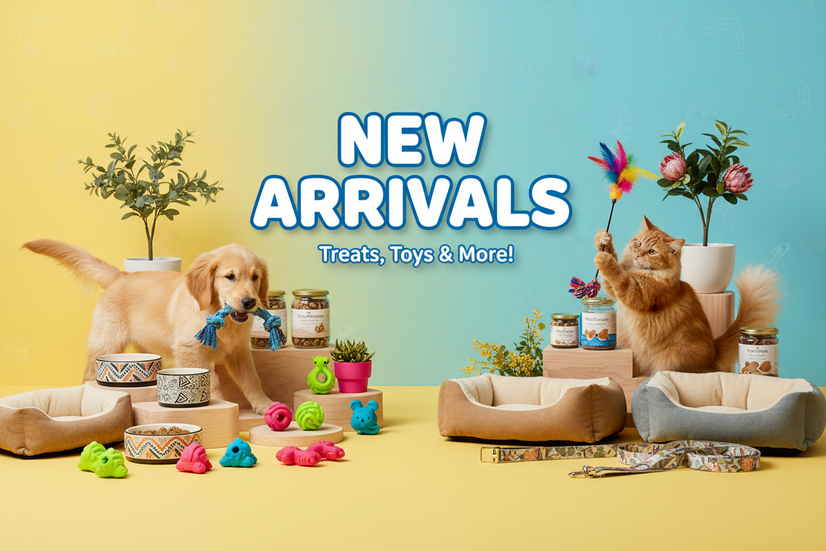 New Arrivals